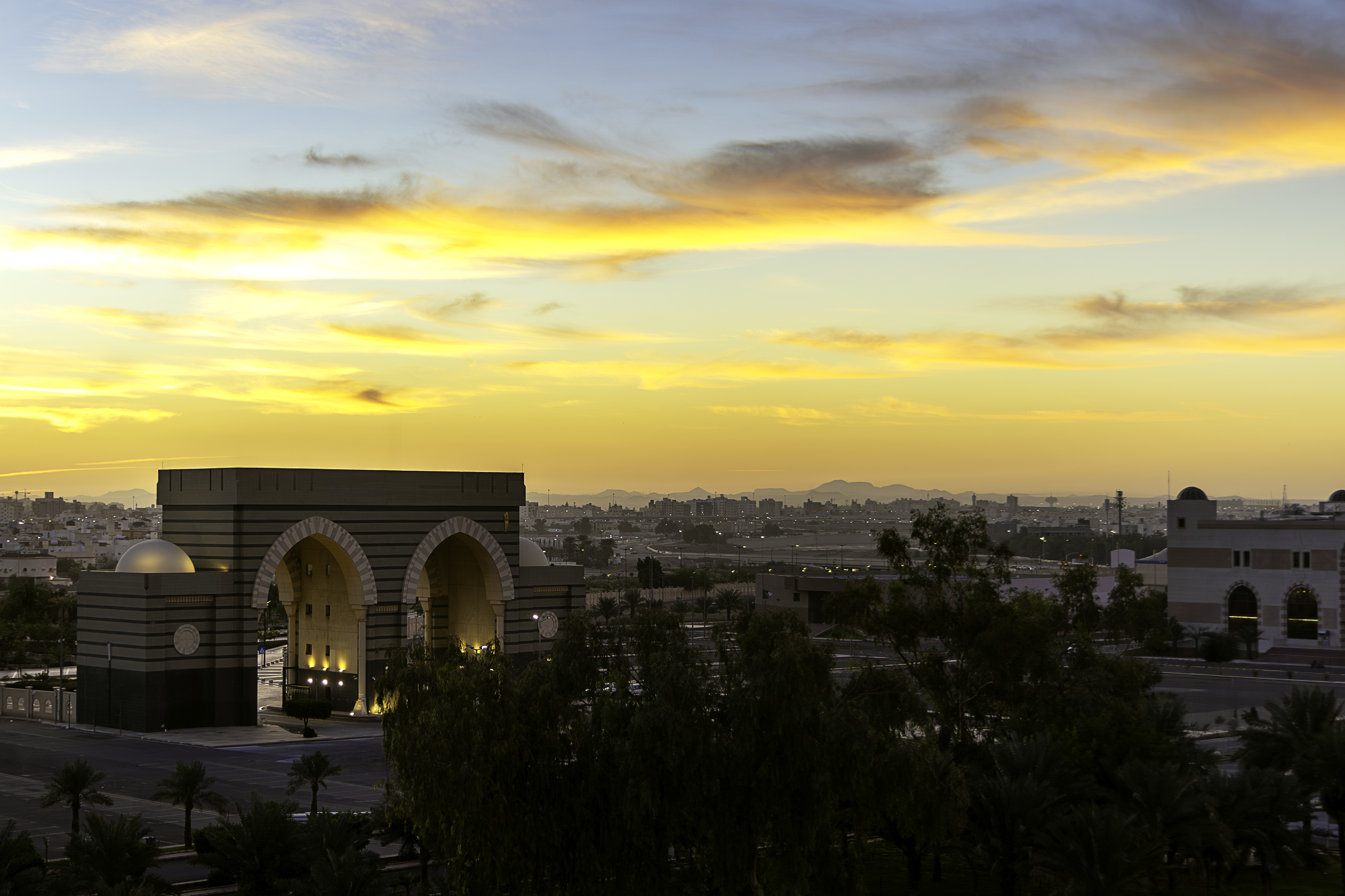 هدية السعودية للعالم